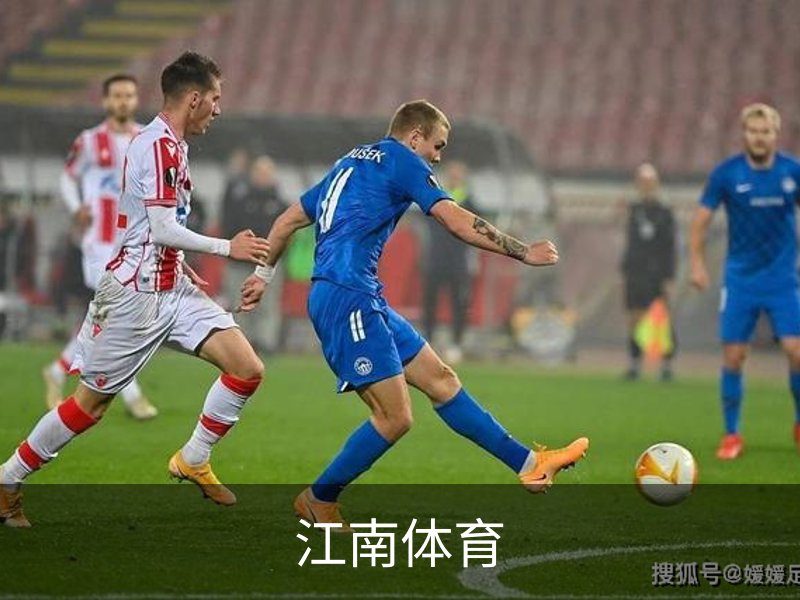 江南体育简介